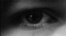 auge